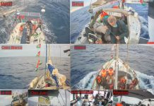 Israele intercetta le barche della Flotilla, fermati 27 italiani. L’ambasciata chiede garanzie su protezione e incolumità dei connazionali