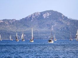 Flotilla, 10 barche ancora dirette verso Gaza
