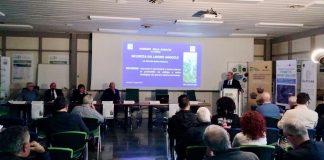 Basilicata, Cicala “Tutela del lavoro e innovazione decisivi per il futuro dell’agricoltura lucana”