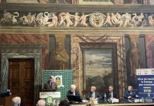 Nasce Efoi per dare voce ai produttori europei da olive da tavola