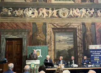 Nasce Efoi per dare voce ai produttori europei da olive da tavola / Video