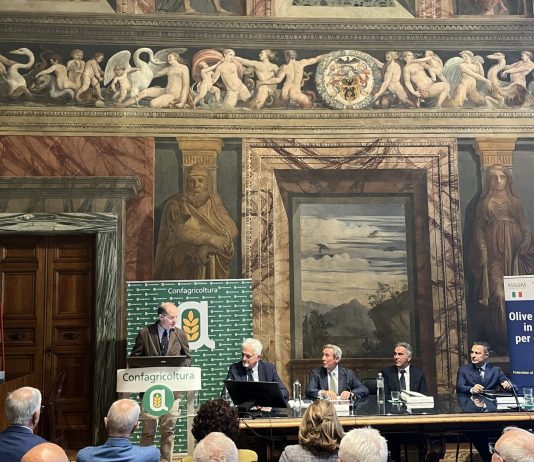 Nasce Efoi per dare voce ai produttori europei da olive da tavola / Video