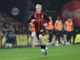 Bournemouth drops Jiménez from the squad amid investigation into social media posts