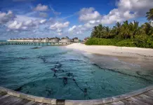 Cinque italiani morti alle Maldive durante un’immersione subacquea