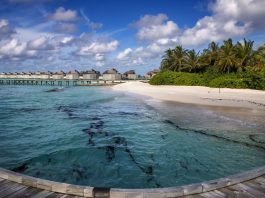 Tragedia alle Maldive, cinque italiani morti durante un’immersione subacquea