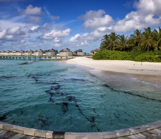 Cinque italiani morti alle Maldive durante un’immersione subacquea