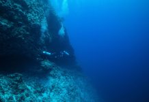Maldive, riprese le immersioni per il recupero dei corpi dei sub italiani
