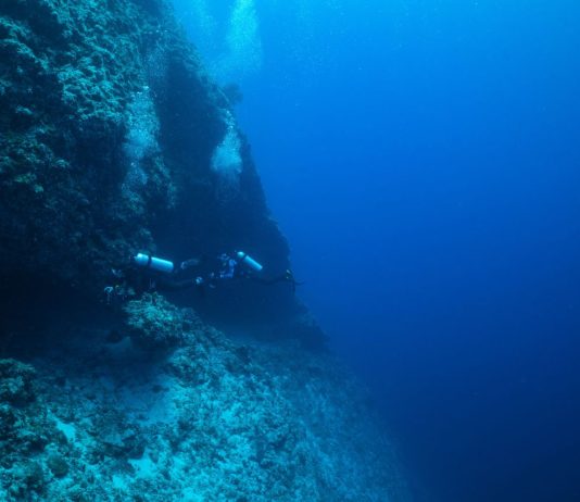 Maldive, riprese le immersioni per il recupero dei corpi dei sub italiani