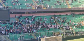 Palermo, in 4 mila per l’allenamento a porte aperte in vista play-off