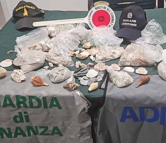 In aeroporto ad Alghero con 6 kg di conchiglie e sabbia, denunciata una turista ungherese