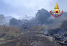 Incendio a Catania, vasto rogo di sterpaglie nell’area della “Susanna”