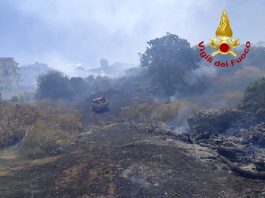 Incendio a Catania, vasto rogo di sterpaglie nell’area della “Susanna”