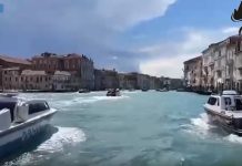 Tentato omicidio, lesioni e rapina: 5 arresti a Venezia