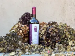 Feudi del Pisciotto lancia un vino per Niscemi, si chiama Fata Nascim