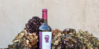 Feudi del Pisciotto lancia un vino per Niscemi, si chiama Fata Nascim
