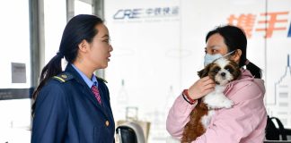 Cina: sui treni cresce la domanda di trasporto di animali per la Festa del Lavoro (2)