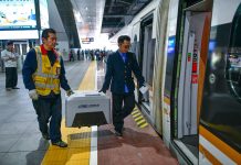 Cina: sui treni cresce la domanda di trasporto di animali per la Festa del Lavoro (3)
