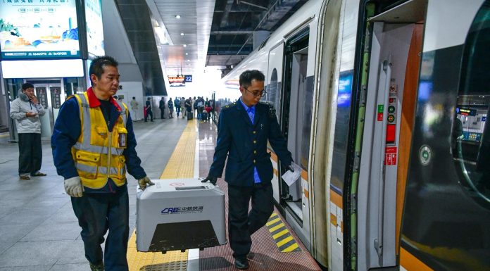 Cina: sui treni cresce la domanda di trasporto di animali per la Festa del Lavoro (3)