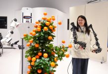 Cina, robot bionici addestrati con il motion capture per operare in ambienti reali (2)