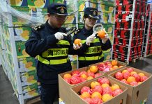 Cina: trattamento a zero dazi per 53 Paesi africani (1)
