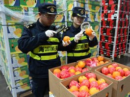 Cina: trattamento a zero dazi per 53 Paesi africani (1)