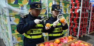Cina: trattamento a zero dazi per 53 Paesi africani (1)