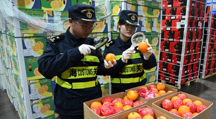 Cina: trattamento a zero dazi per 53 Paesi africani (1)