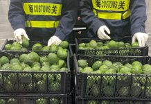 Cina: trattamento a zero dazi per 53 Paesi africani (2)