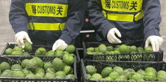 Cina: trattamento a zero dazi per 53 Paesi africani (2)