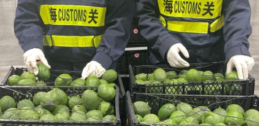 Cina: trattamento a zero dazi per 53 Paesi africani (2)