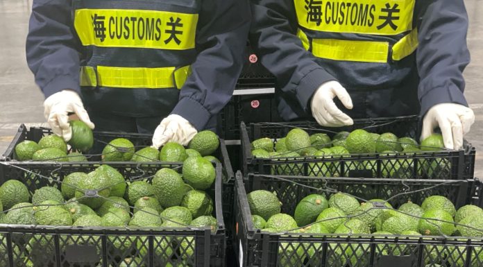 Cina: trattamento a zero dazi per 53 Paesi africani (2)