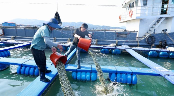 Cina: Fujian promuove crescita del settore della maricoltura (1)