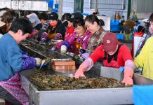 Cina: Fujian promuove crescita del settore della maricoltura (2)