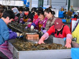 Cina: Fujian promuove crescita del settore della maricoltura (2)