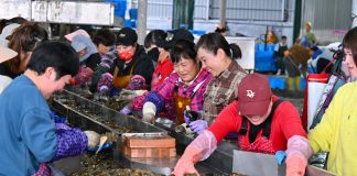 Cina: Fujian promuove crescita del settore della maricoltura (2)
