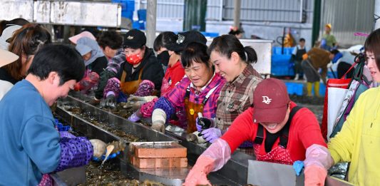 Cina: Fujian promuove crescita del settore della maricoltura (2)