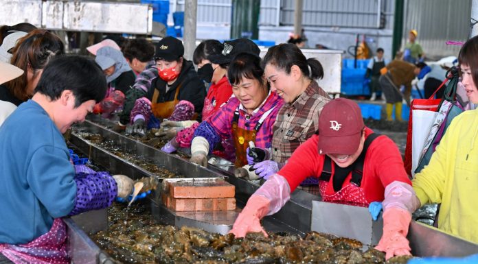 Cina: Fujian promuove crescita del settore della maricoltura (2)