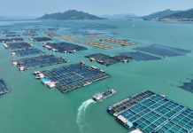 Cina: Fujian promuove crescita del settore della maricoltura (3)