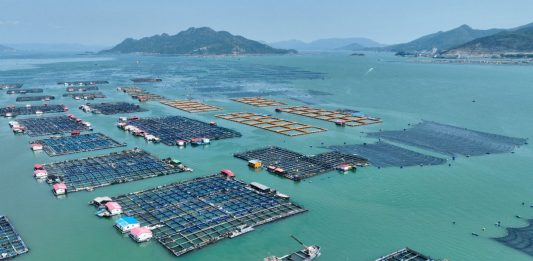 Cina: Fujian promuove crescita del settore della maricoltura (3)