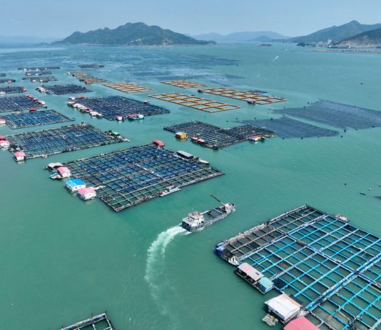 Cina: Fujian promuove crescita del settore della maricoltura (3)