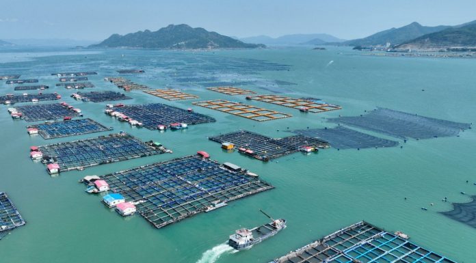 Cina: Fujian promuove crescita del settore della maricoltura (3)