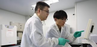 Cina: giovani generazioni lavorano con impegno e dedizione nel nord-est (2)