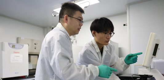 Cina: giovani generazioni lavorano con impegno e dedizione nel nord-est (2)