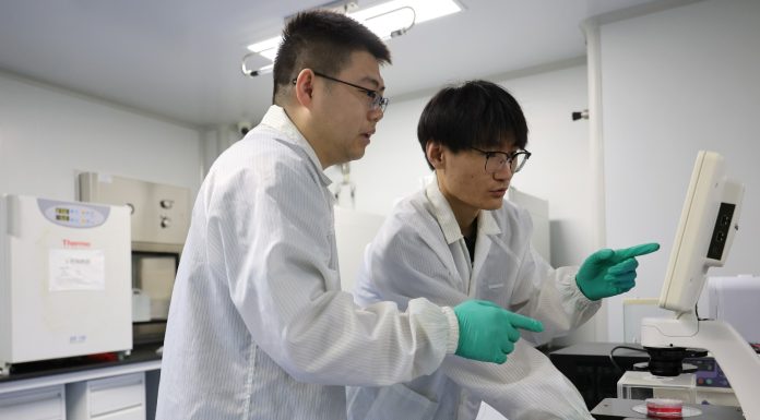 Cina: giovani generazioni lavorano con impegno e dedizione nel nord-est (2)