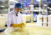 Cina: a Liuzhou si producono germogli di bambù sottaceto per il Luosifen (1)