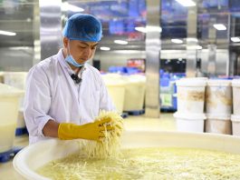 Cina: a Liuzhou si producono germogli di bambù sottaceto per il Luosifen (1)