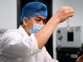 Cina: a Liuzhou si producono germogli di bambù sottaceto per il Luosifen (2)