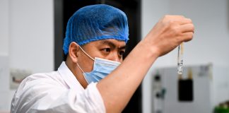 Cina: a Liuzhou si producono germogli di bambù sottaceto per il Luosifen (2)