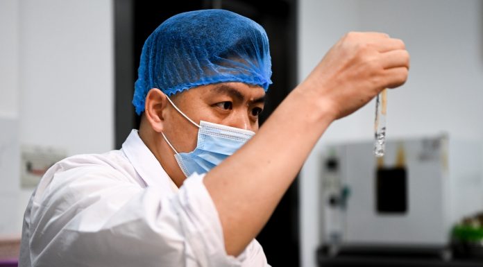 Cina: a Liuzhou si producono germogli di bambù sottaceto per il Luosifen (2)