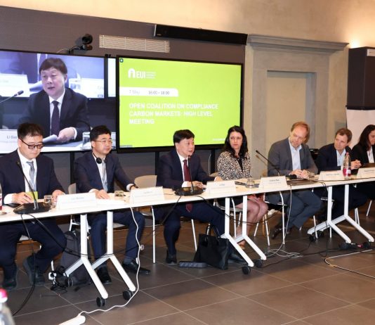 Cina pronta a contribuire a sviluppo OCCCM come piattaforma di cooperazione aperta e inclusiva